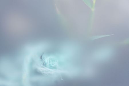 Bonnie Truth/untitled (#5)